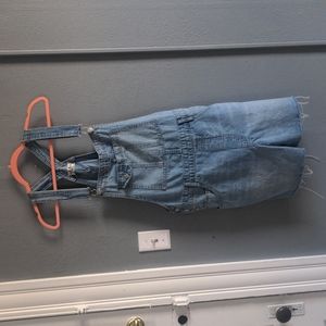 Medium Overall shorts